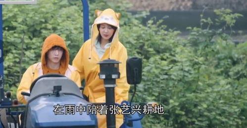 陈大锤最新爆料视频播放,揭秘幕后真相，精彩瞬间回顾  第2张